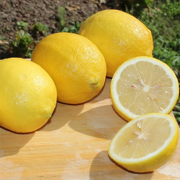 
Natural Fresh Lime Fresh Lemon Fresh Green Lemon 
