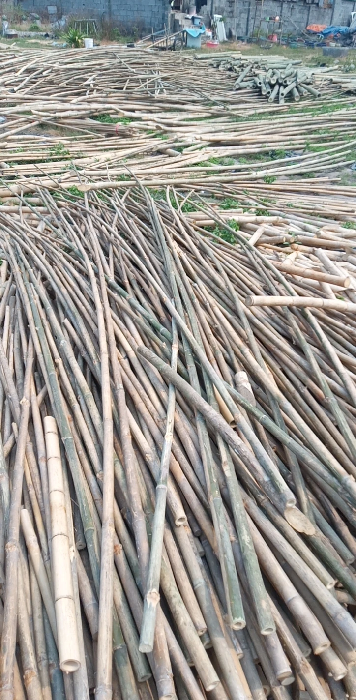 Лидер продаж бамбуковые палочки из натурального материала для изготовления забора или изделий ручной работы