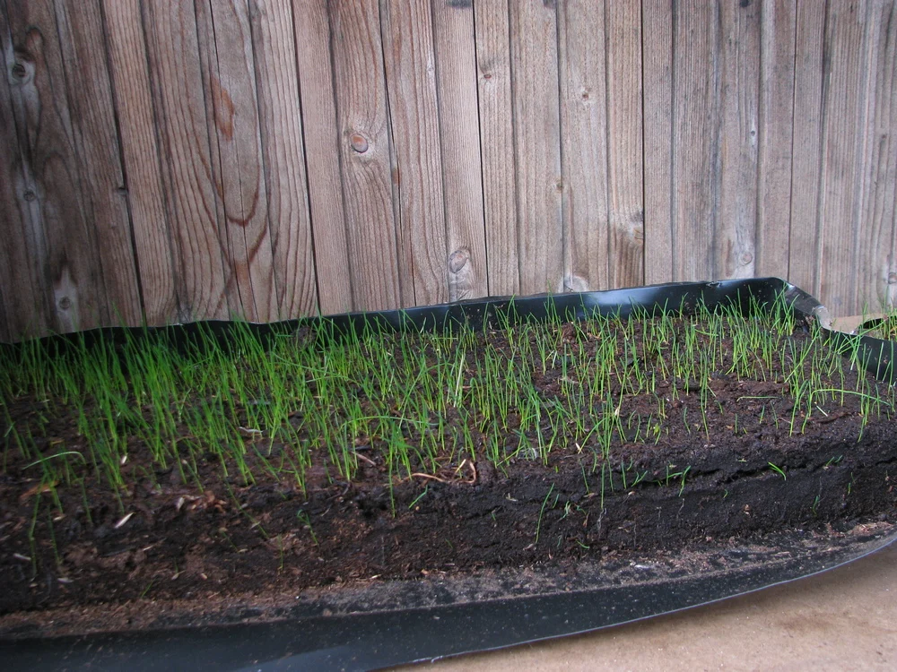 Pressed peat moss slabs for landscaping