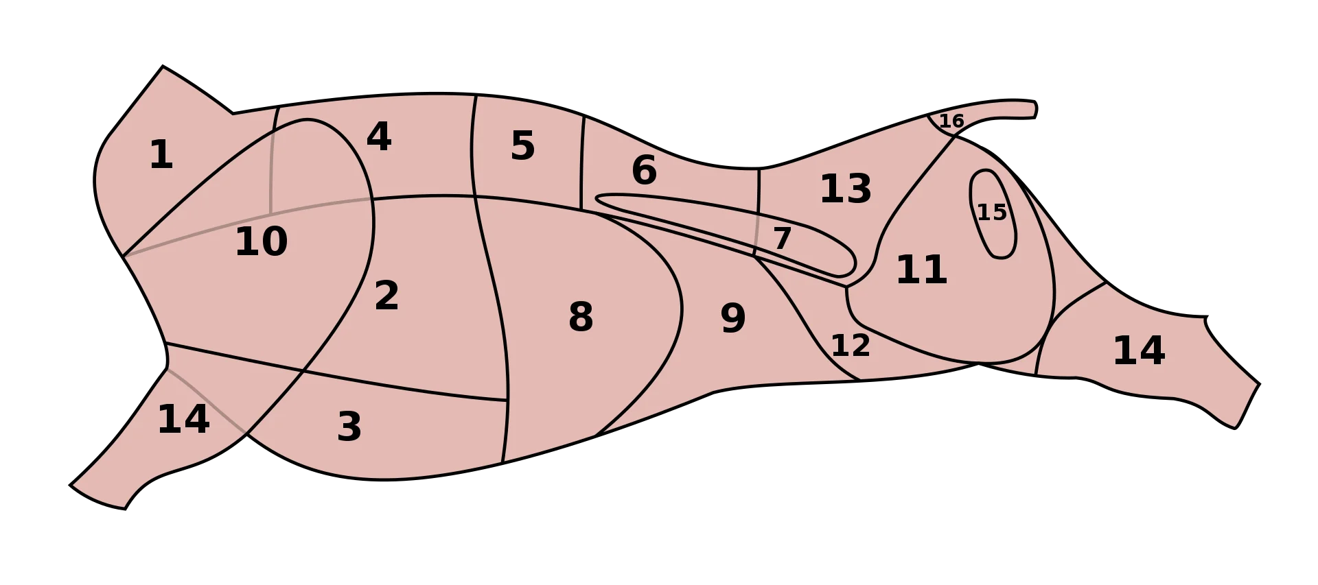 Rind-Ganz-plus.svg.png