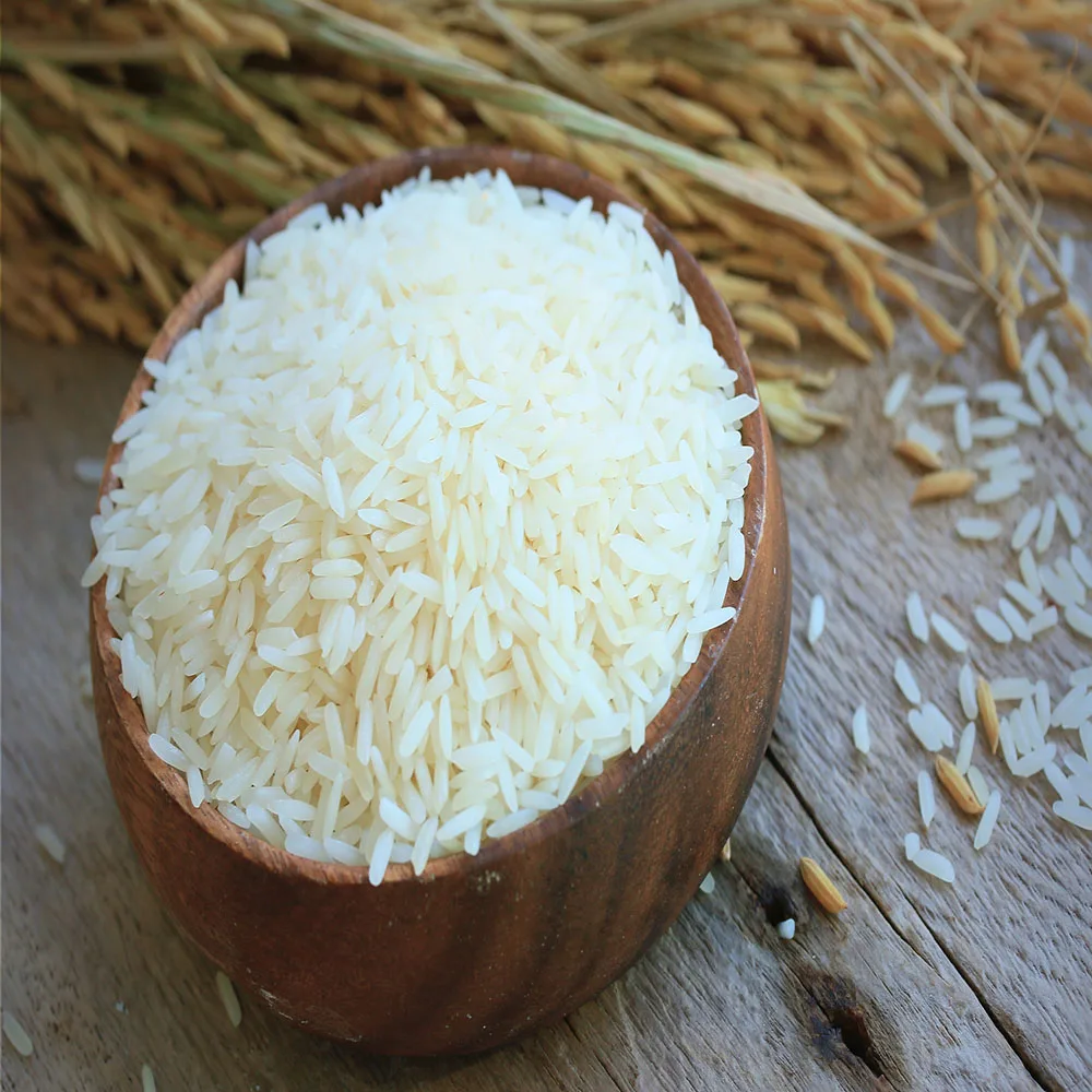 
Export Jasmine Medium Grain Rice From Fragrant Rice Variety 4900 And Very Aromatic, Soft 