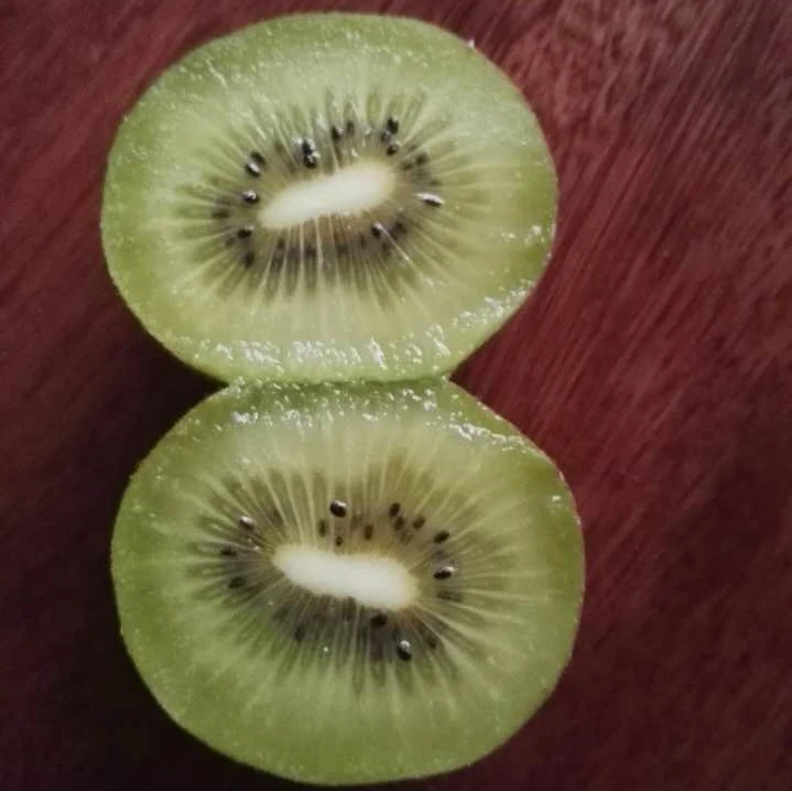 Direct sales 100% fresh kiwi fruit Best