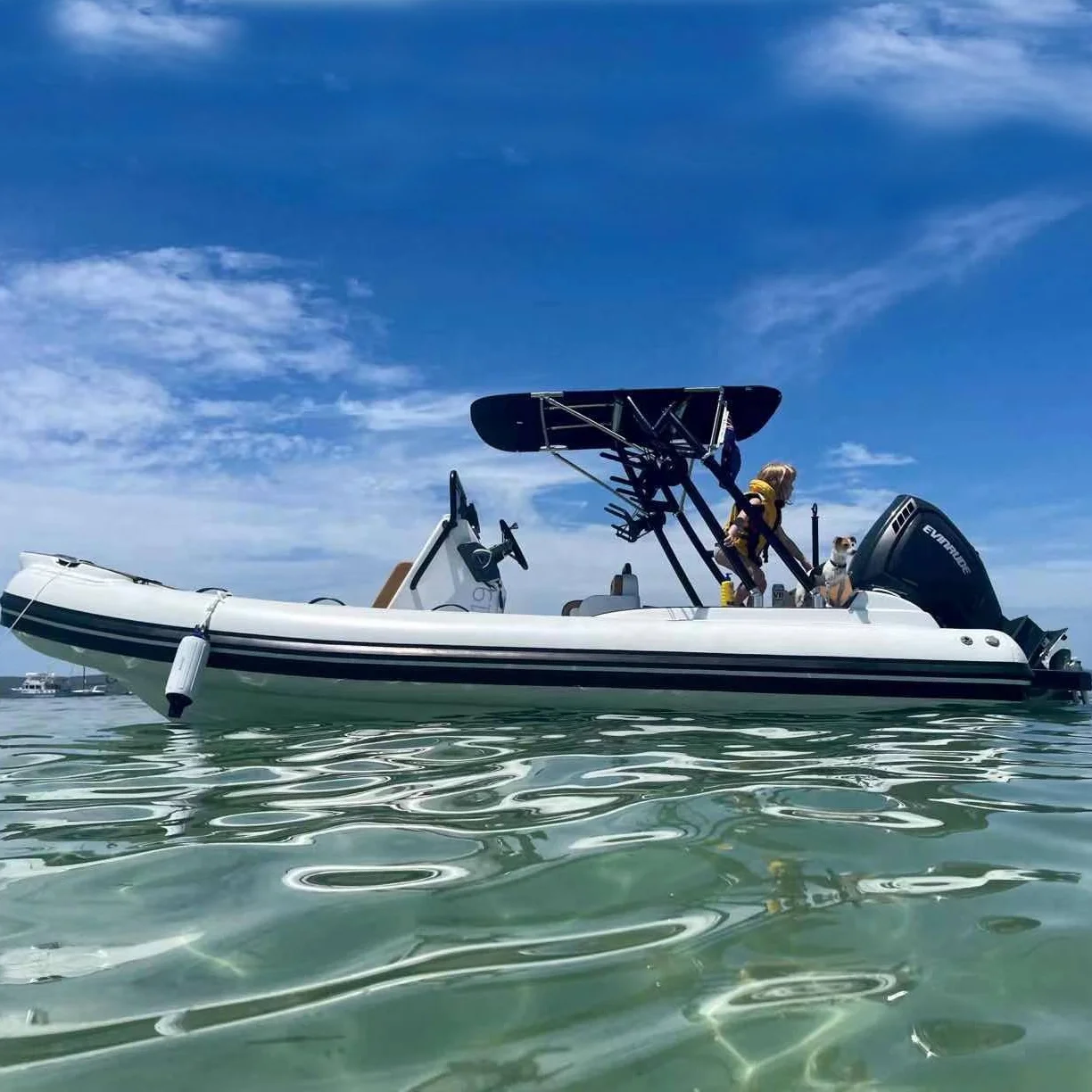 
Liya 22feet hypalon rigid inflatable boat rib fihing boats for sale 