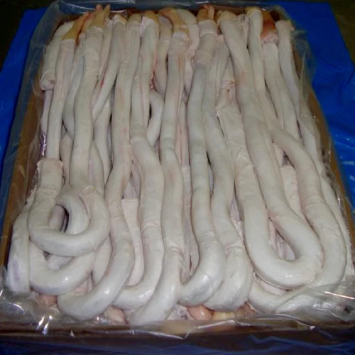 BQF Wholesale Frozen Beef Pizzle Frozen Beef Pizzle Frozen Bull Pizzle