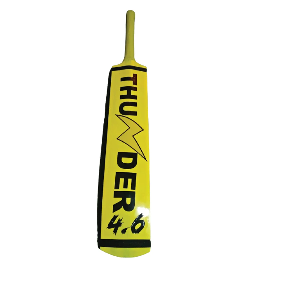 Best Kashmir Willow Cricket Bat