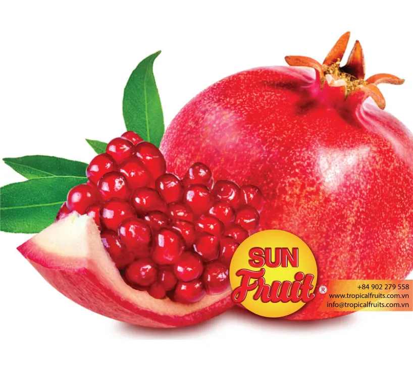 Wholesale high quality fresh pomegranate