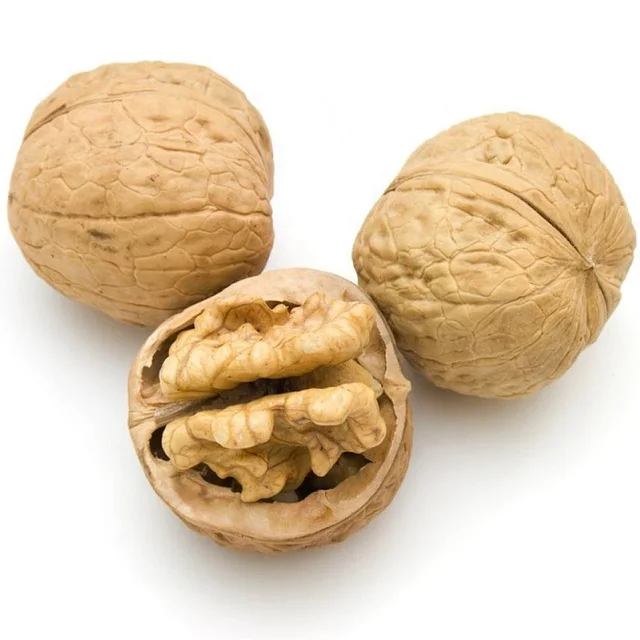 High Quality Walnut Kernel Wholesale /Best Grade Raw Walnut