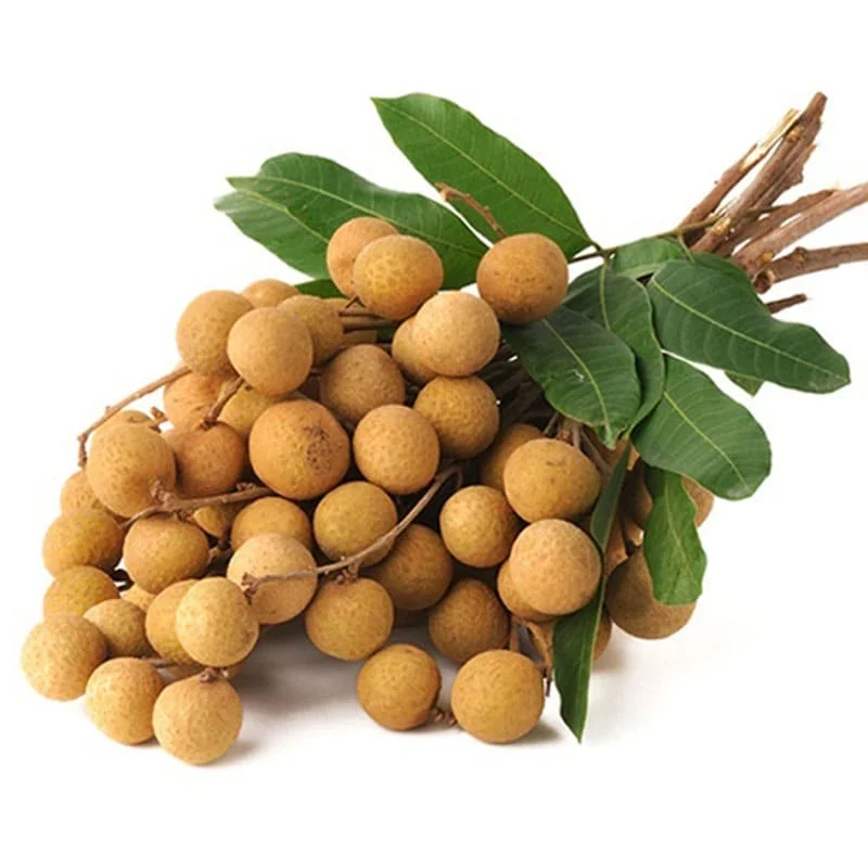 Fresh Longan Premium Grade Best Seller From Thailand By SP Organic International Thai Fruits Export