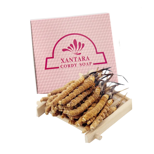 
Мыло Cordyceps sinensis для отбеливания кожи 