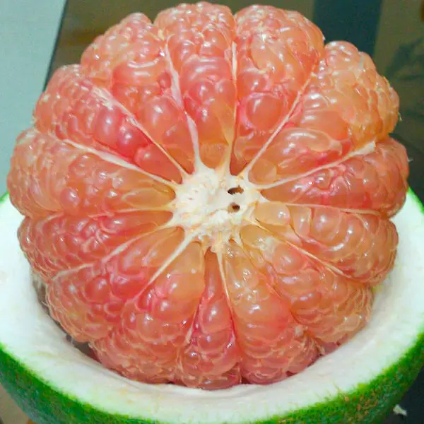 Wholesale for Fresh Green Skin Pomelo/ Grapefruit From Vietmam// Jolene +84 336089155