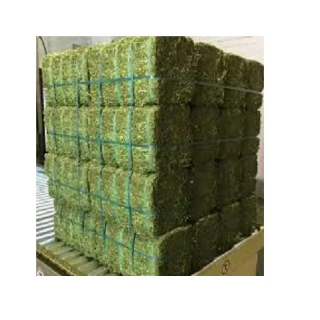 CHEAP ALFAFA HAY READY FOR SUPPLY/ Alfalfa hay with high protein for animal feeding/Top Quality Alfafa Hay for Animal Feeding St