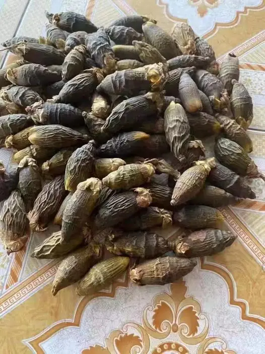 Полностью расправленные Сушеные Орехи/орехи арекса, сделанные во Вьетнаме // Jolene + 84 336089155