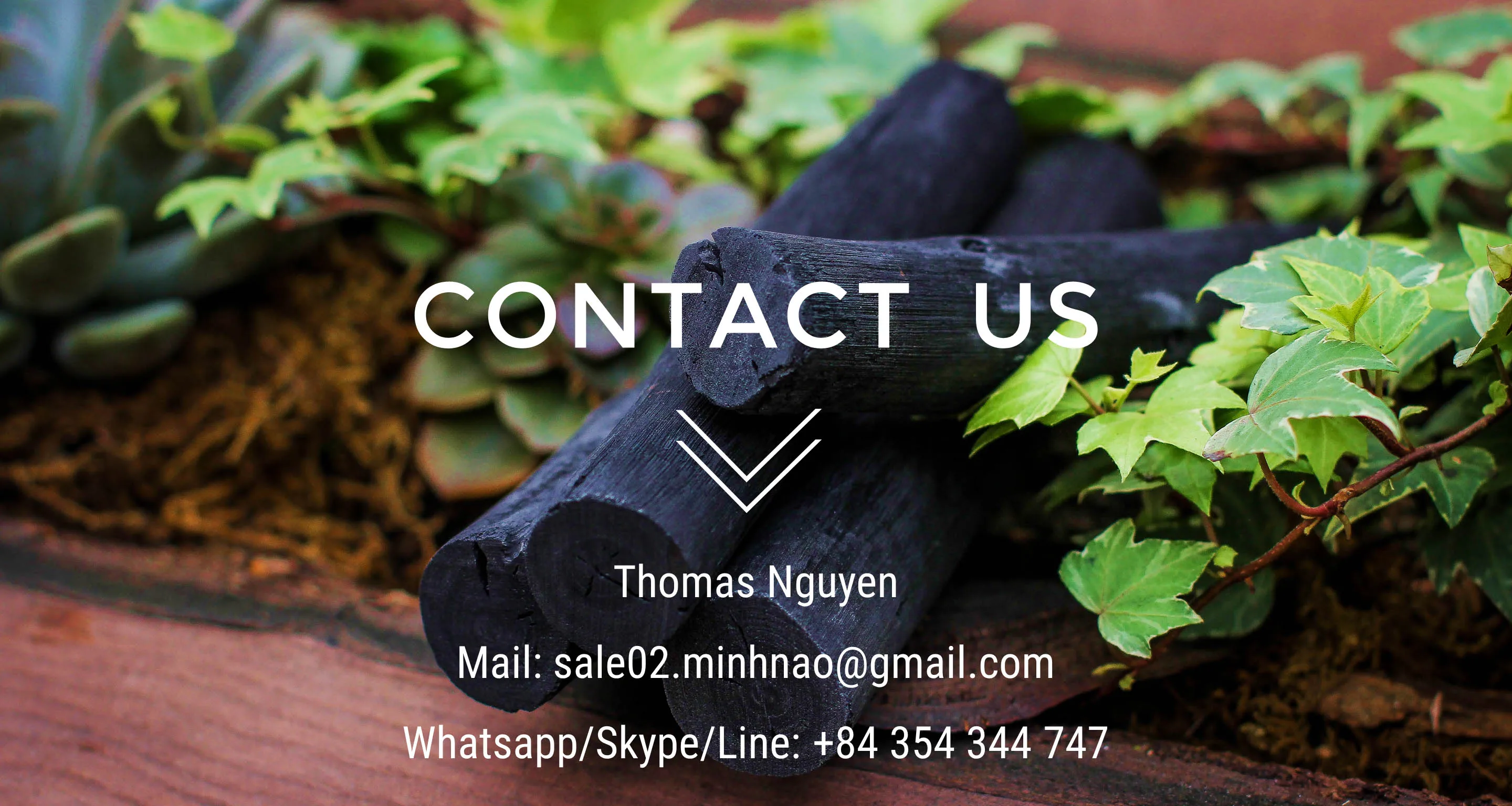 Company Information 7