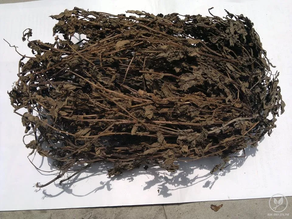 Оптовая продажа желе из черной травы сделанное во Вьетнаме // 2021 высокое качество