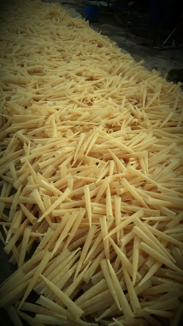 Viet Nam dried fish bladder