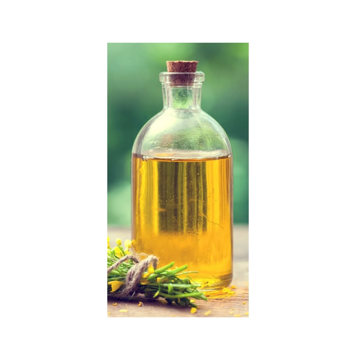 Russian Wholesale Organic Non GMO Bulk Rapeseed Oil Vegetable Oil Cooking Cold Pressed Rapeseed Oil Healthy Food