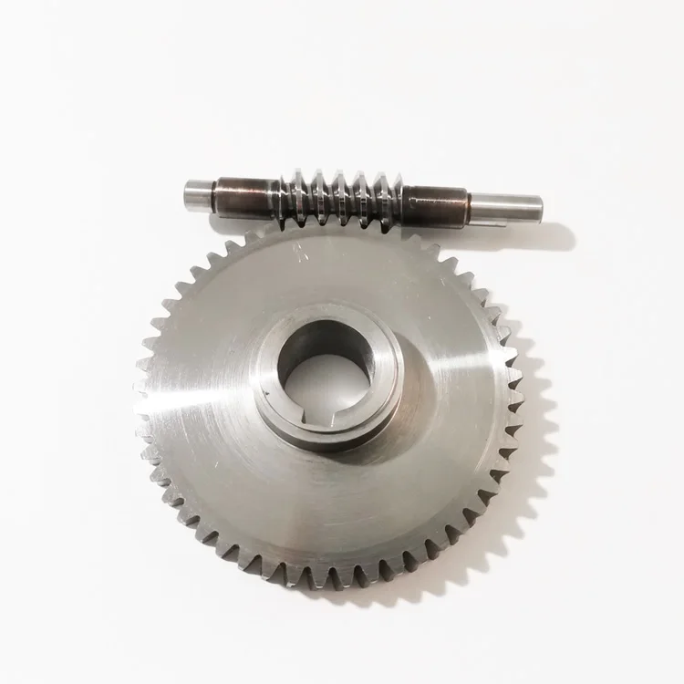 Worm Gear
