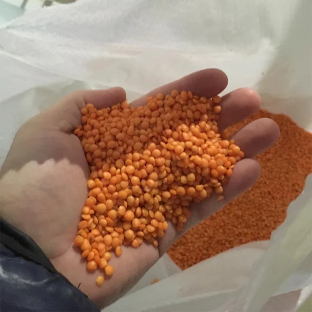 2019 Fresh  harvest best price high quality export green | red lentils