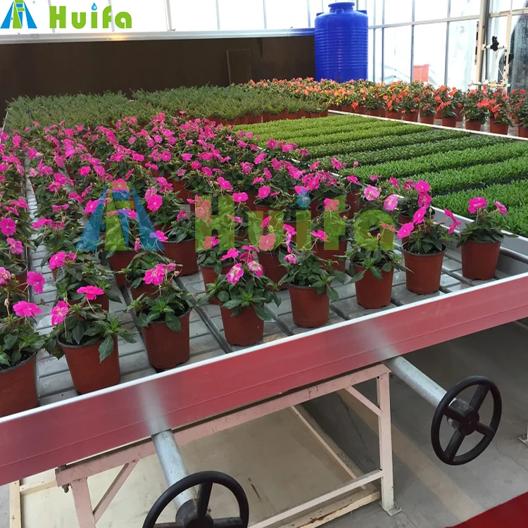 Hydroponic Greenhouse Shelves Growing Table Flood Tray Hydroponic Growing Systems