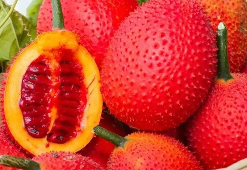  100% чистый натуральный экстракт фруктов гака/порошок гака-Хелен + 84374288086