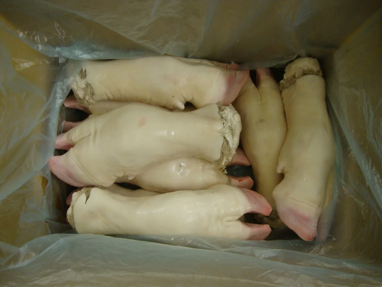 BEEF FEET FOR SALE