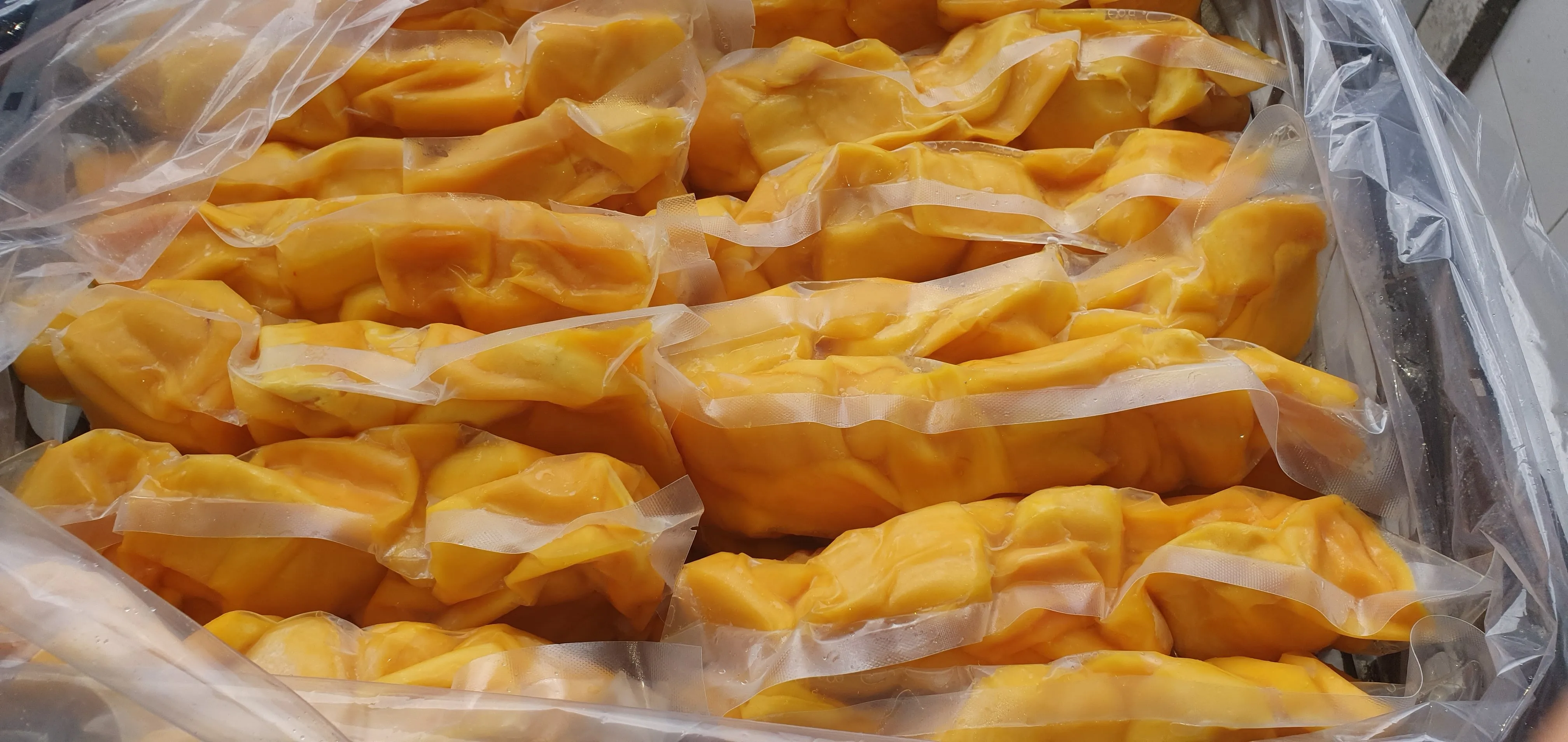 Frozen Jackfuit with high quality from Vietnam