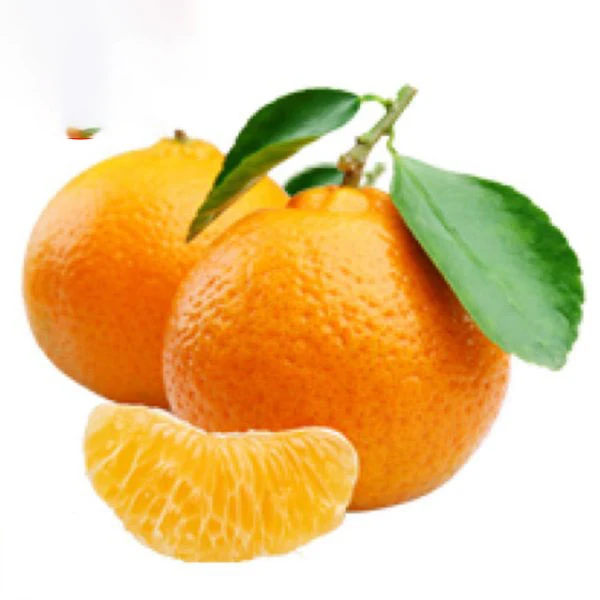 Sweet Juicy Mandarin with the best price
