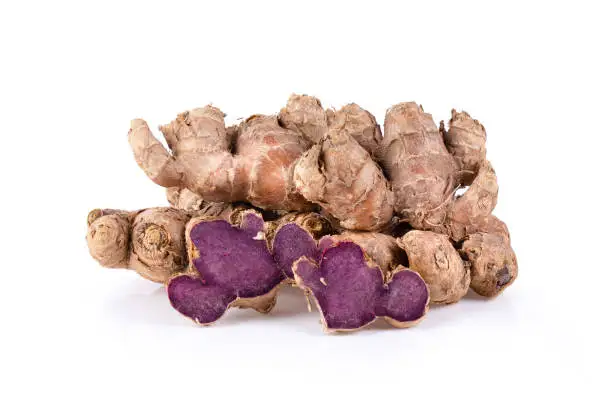 Black ginger Kaempferia Parviflora for Medicine Usage from Vietnam