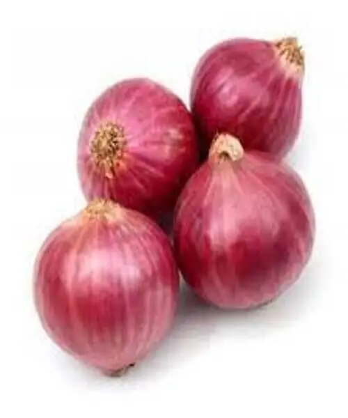 100% Natural Fresh onions from Pakistan