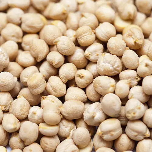 Wholesale/Bulk Supply Dried Style New Harvest Crop Organic Cultivation Type Indian Chickpeas