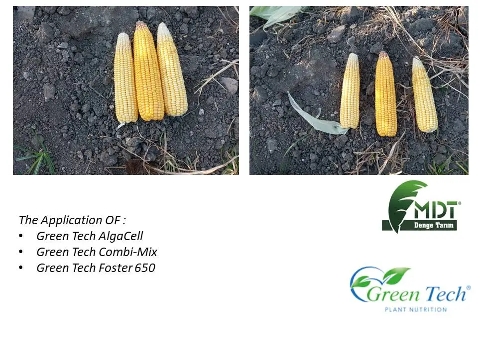 Green Tech Green Cap - Organic Nematicide -Plant Protection Producr - Organic Fertilizer