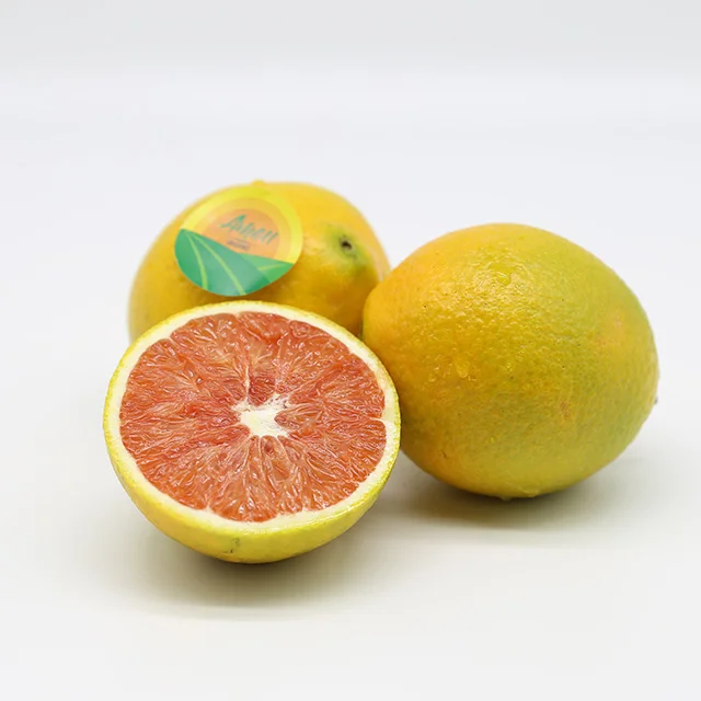 VIET NAM ORANGE FOR SALES