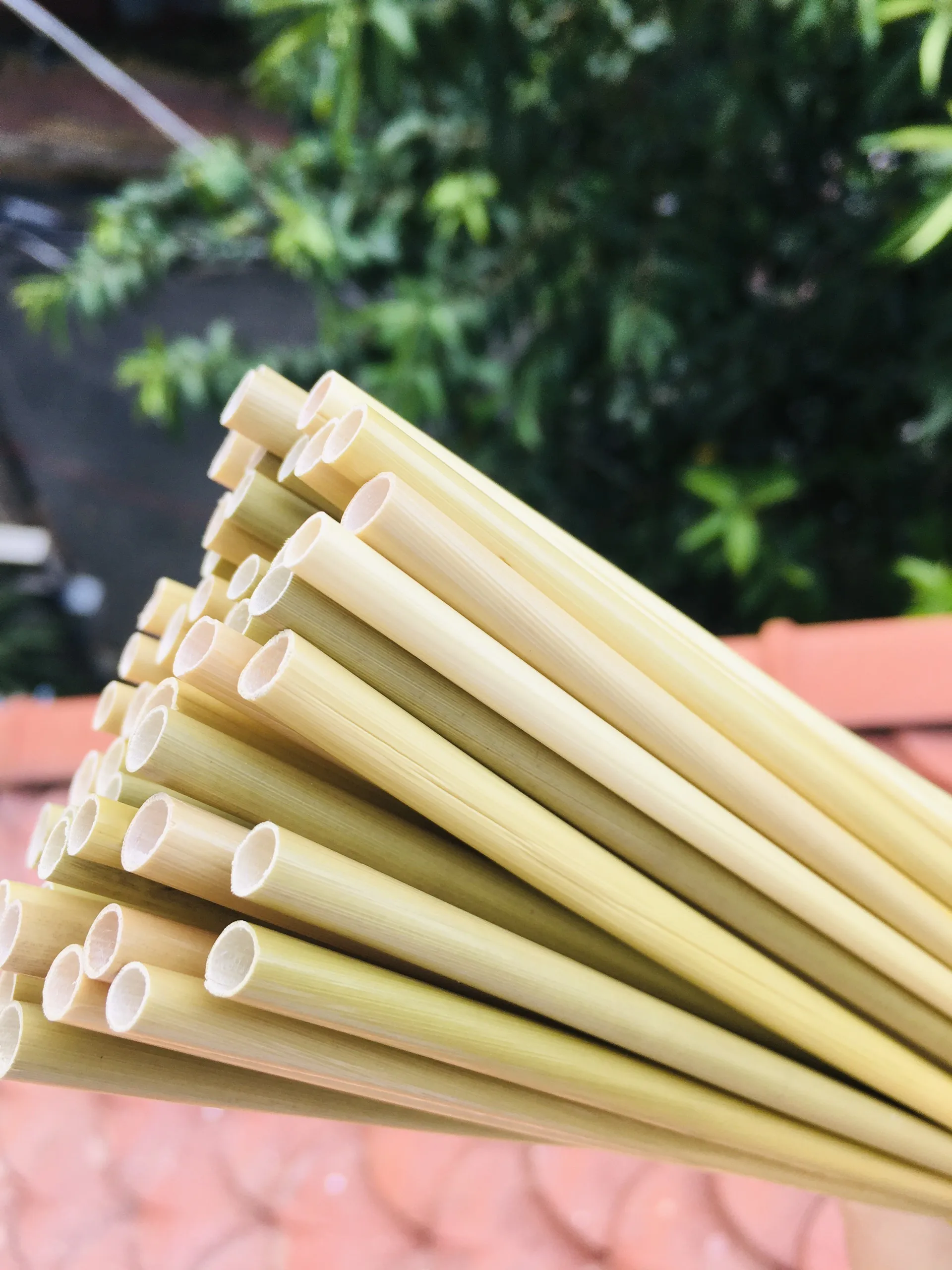 DISPOSABLE GRASS DRINKING STRAWS FOR ALTERNATIVE TO PLASTIC STRAW HIGH QUALITY BEST PRICE