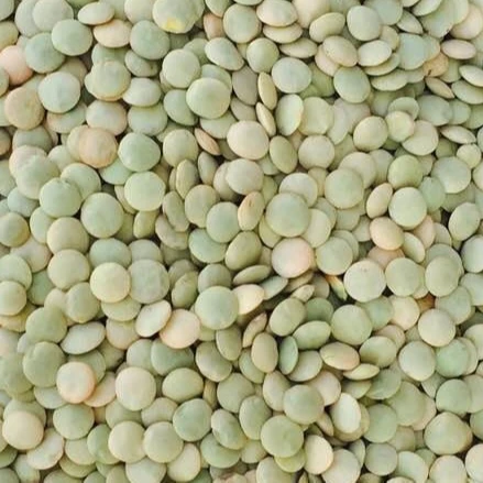 
Green Lentils 7mm best quality 