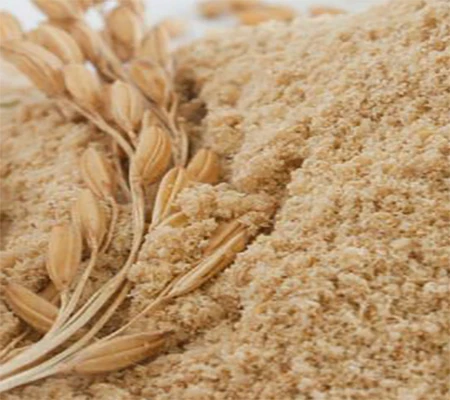 Black Style Organic Bread Origin Type Wheat Dried Place Model Cultivation Wholesale Non GMO Emmer Hulled Grain Conventional