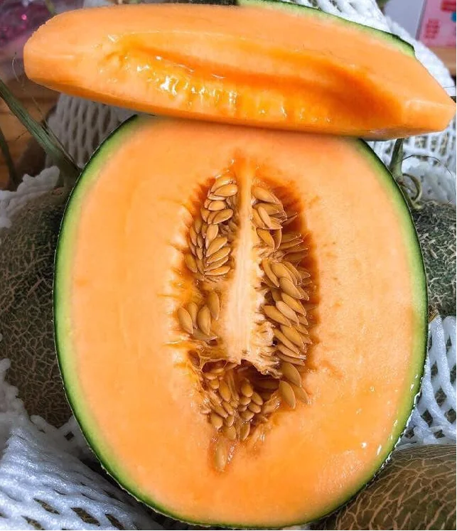 
Current Crop Fresh Yellow Cantaloupe King Melon With Green Skin Summer Fruit Good Holiday Juice 