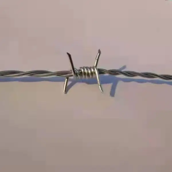 high quality barbed wire price per roll / galvanized barbed wire