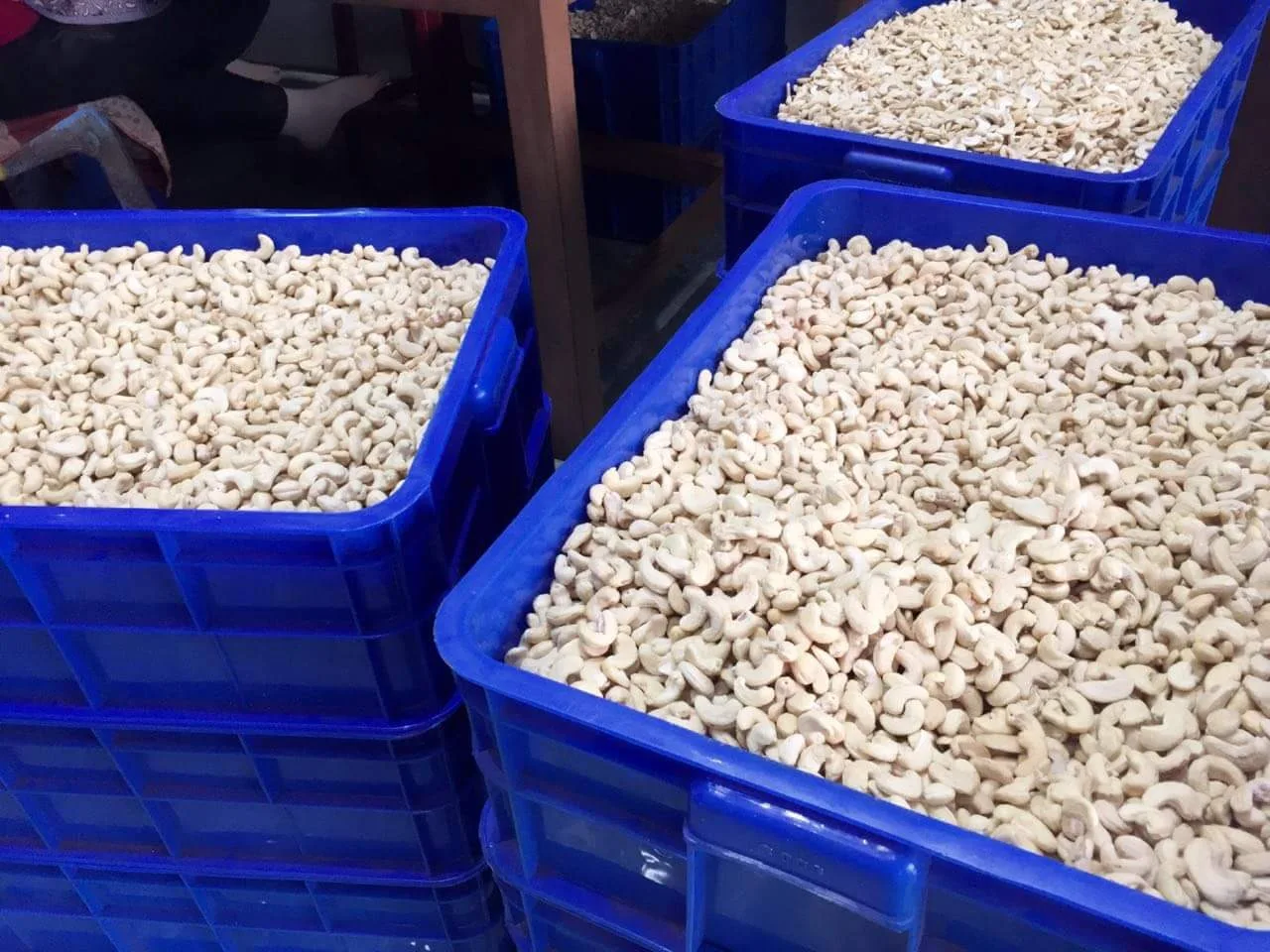 Экспорт высококачественных органических ядер кешью WW240 с HACCP ISO BRC и USDA + 84 326055616