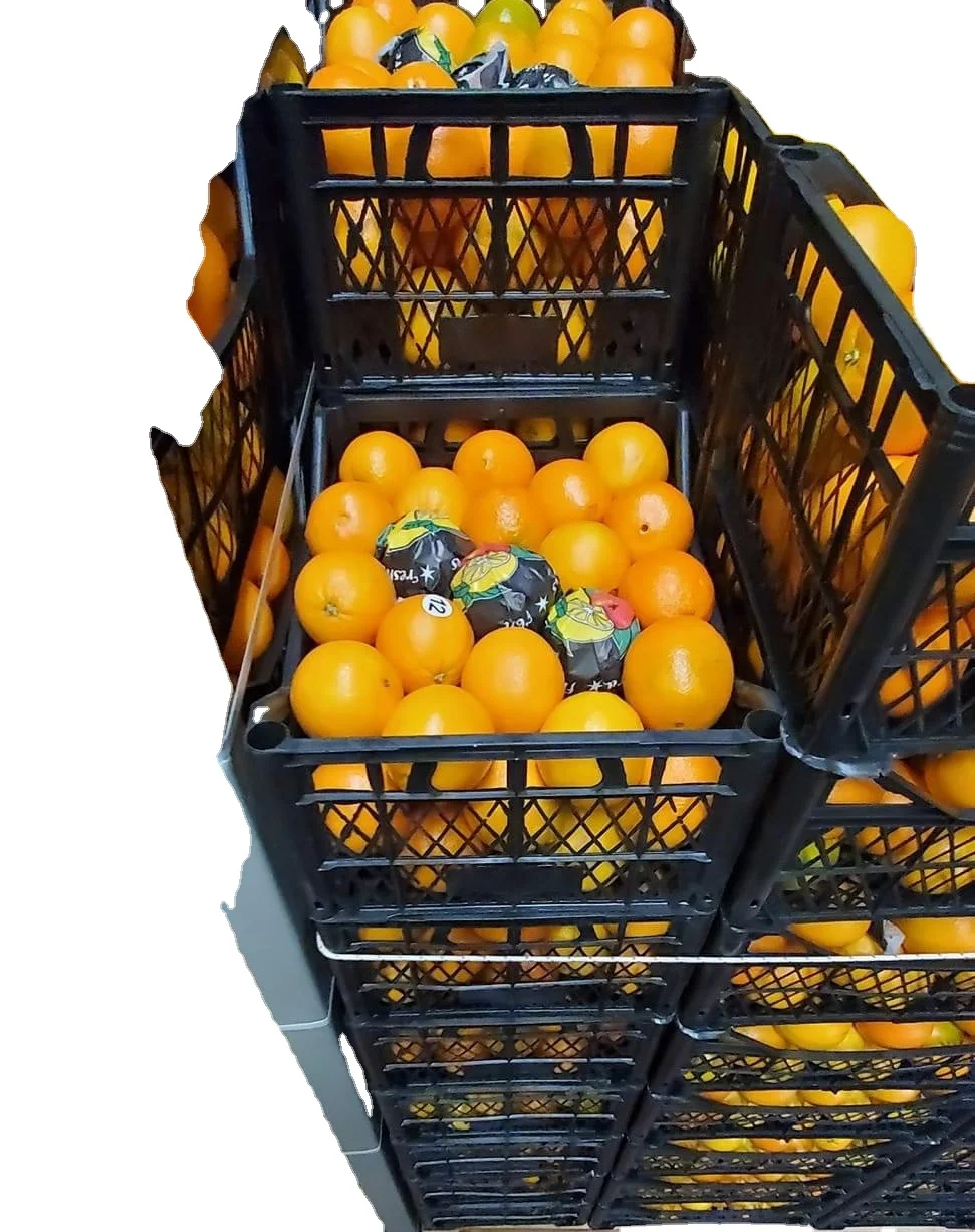 Fresh Naval Orange Juicy Orange From Turkey Best Price Orange