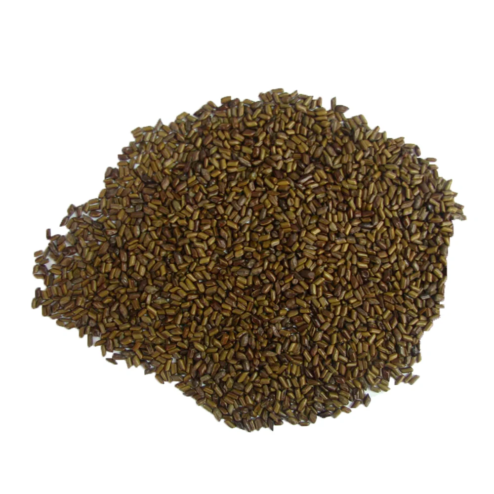 Farm Based 100% Organic Grown Caffeine Free Cassia Tora High End Quality Seeds At 15% Less Market Price On Bulk Purchase