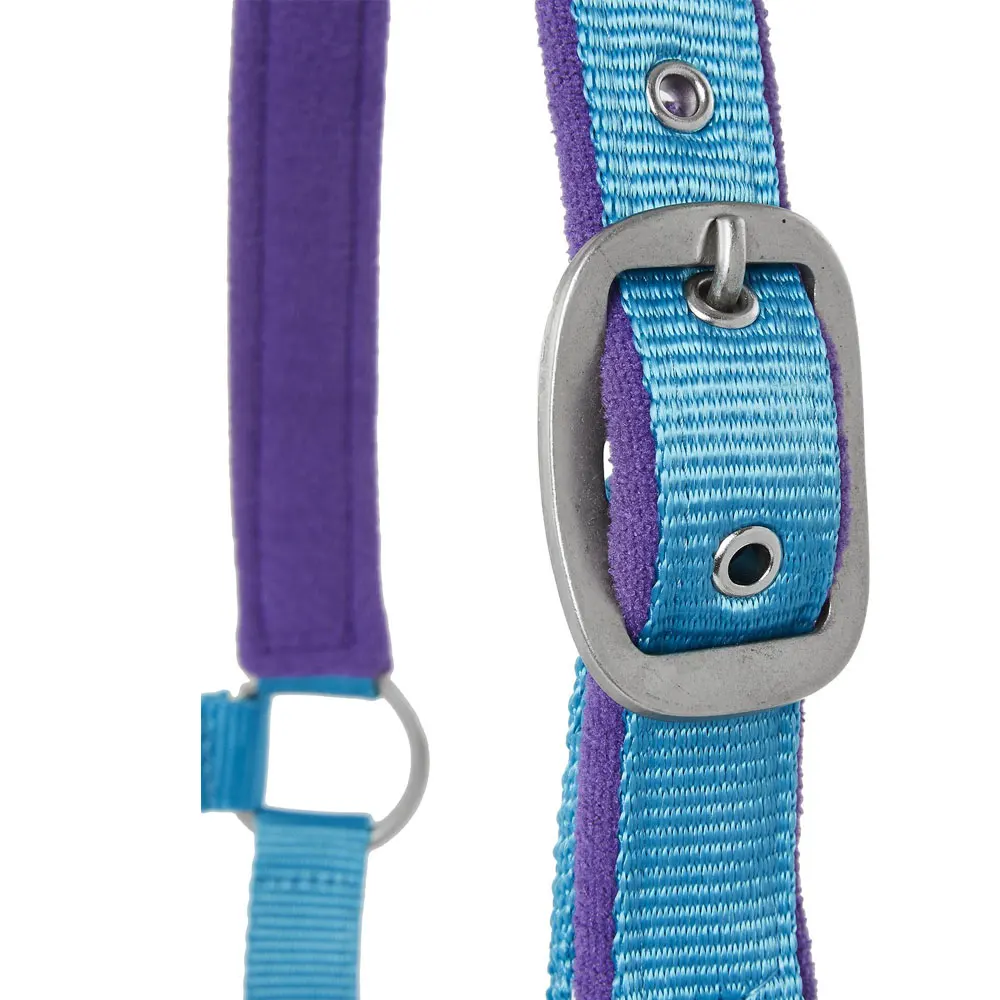 Premium Quality Personalize Horse Lead Rope Halter Available In All Colors / Factory Direct Supplier Horse Halter