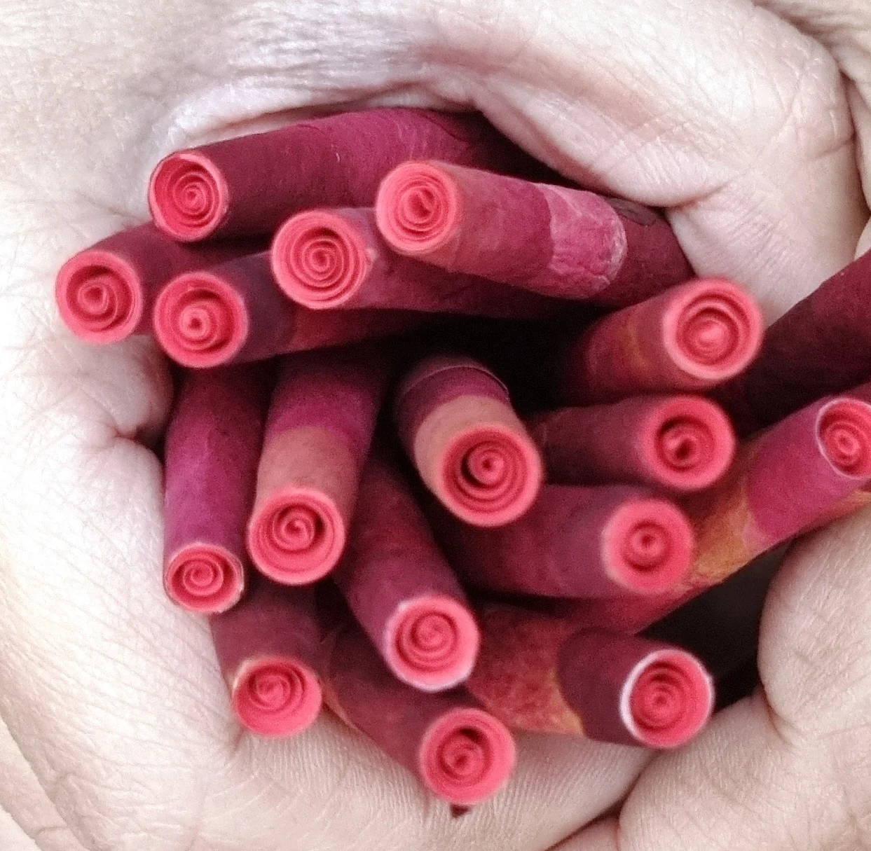 Spiral Filters in Rose Petal Cones.jpg