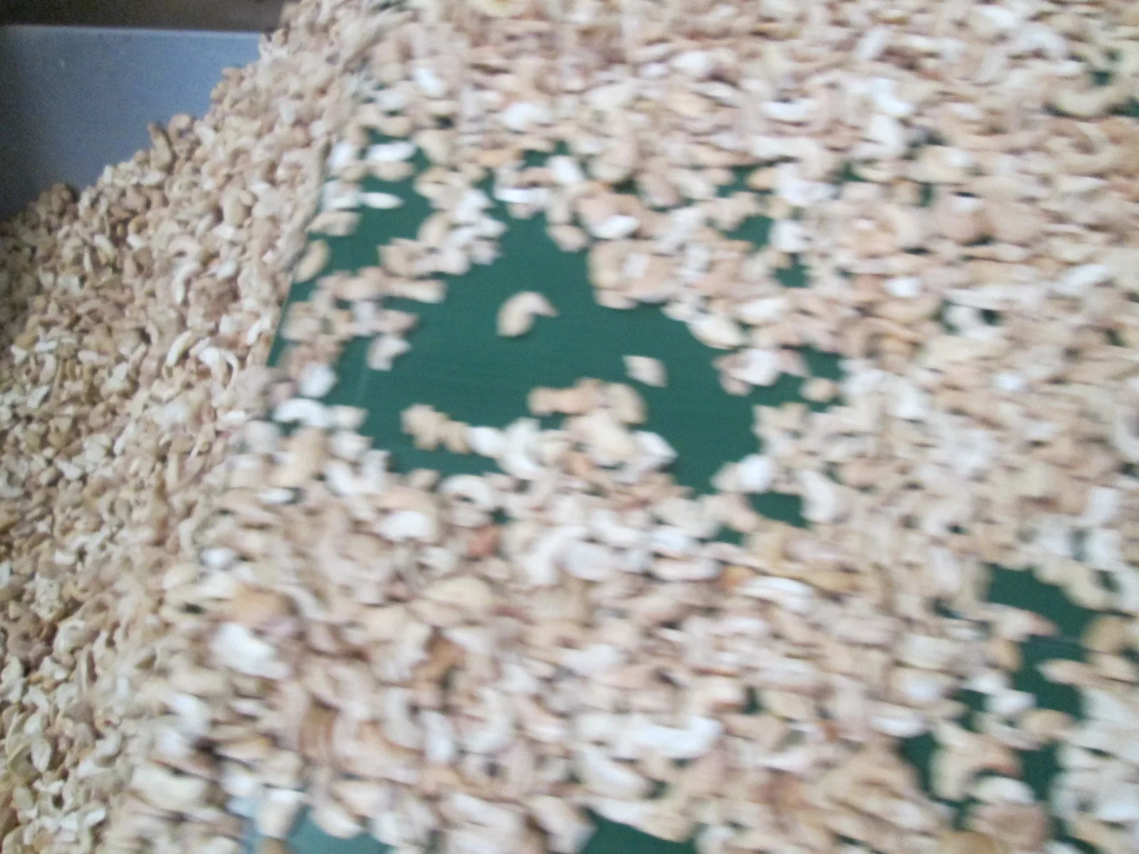 Best choice LP CASHEW NUT GOOD PRICE Visimex good price