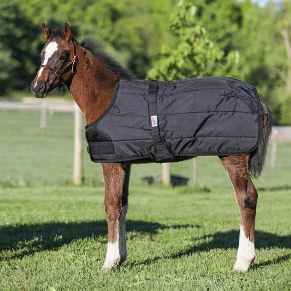 
Rugs Expandable Foal Stable Blanket Horse Stable Blanket /Horse rugs 