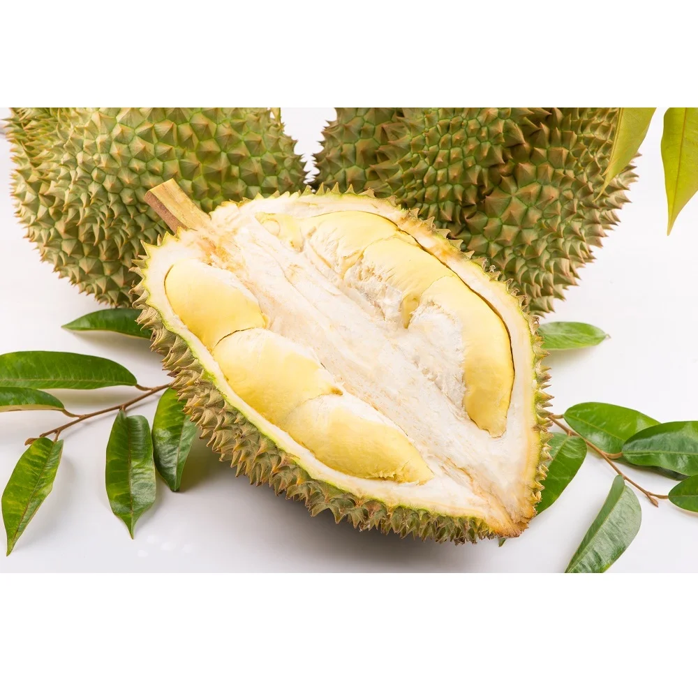 Top Quality Monthong Variety Carton Box Packaging Yellow Common Cultivation Type Sweet Taste Durian Export From Vietnam