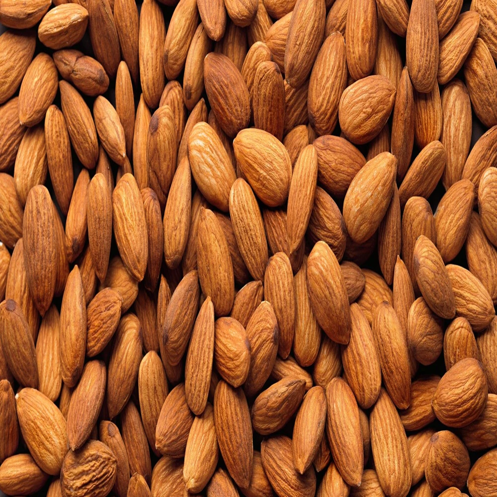 Almond Factory Wholesale Cheap Price Nutritional Baked Sweet Almond Delicious Apricot Kernels
