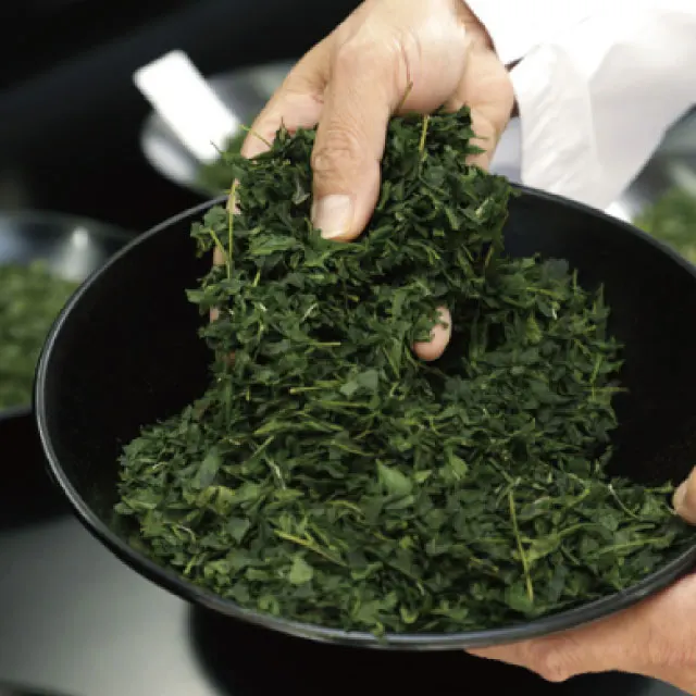 Hentic taste buy matcha green tea from japanese wholesale Myougetu