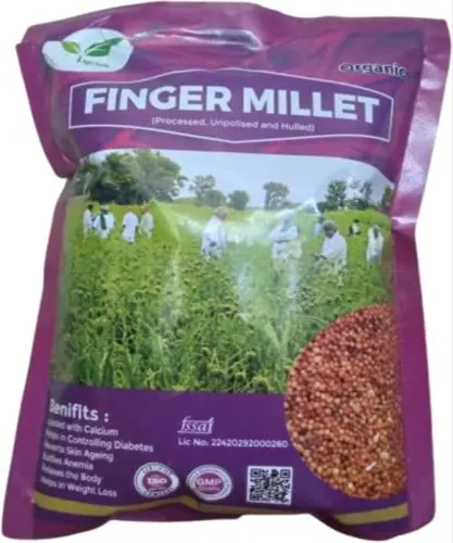 Organic Finger Millet (Ragi)