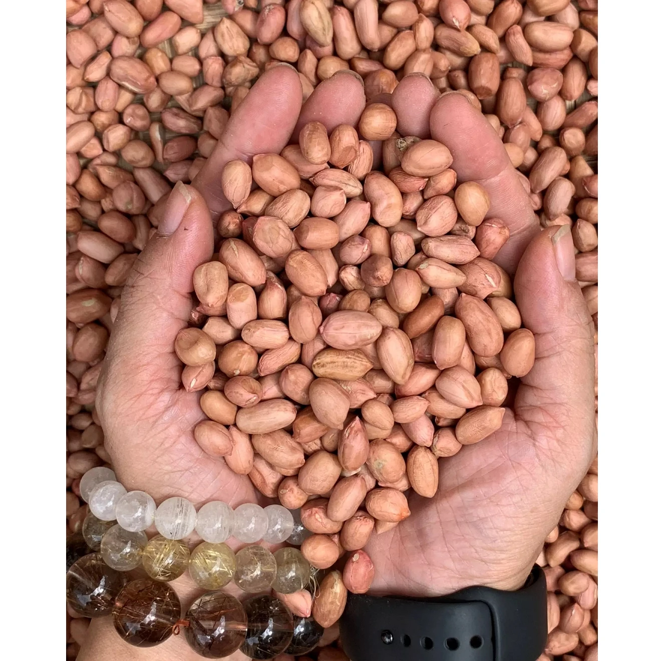 Арахис Orsafarm 5 кг/упаковка оптовая продажа заводская цена богатый органический протеин арахис из