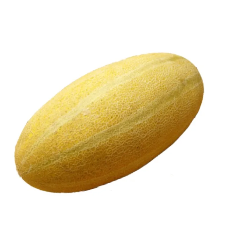 Fresh big long  sweet Melon